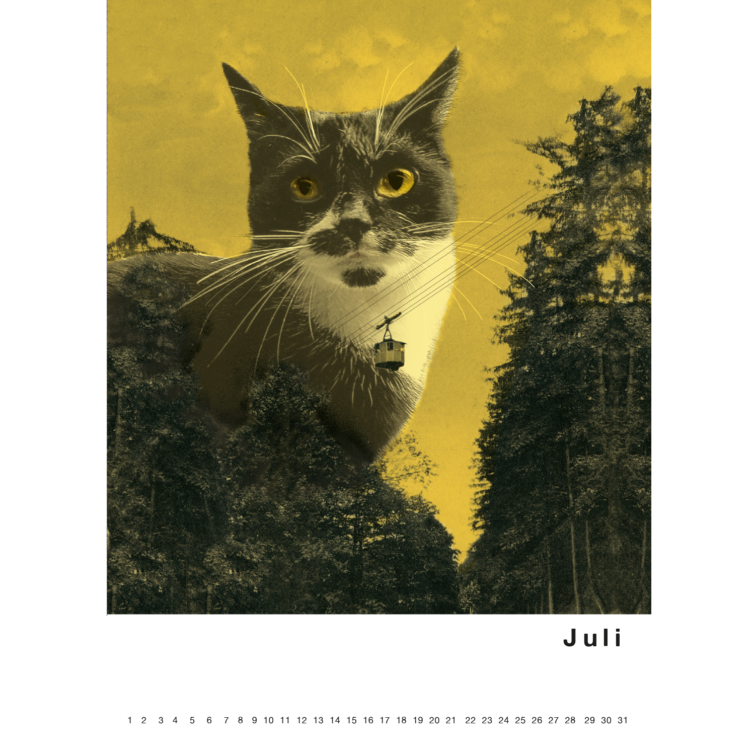 Streuner 2, Immerwährender Kalender A4