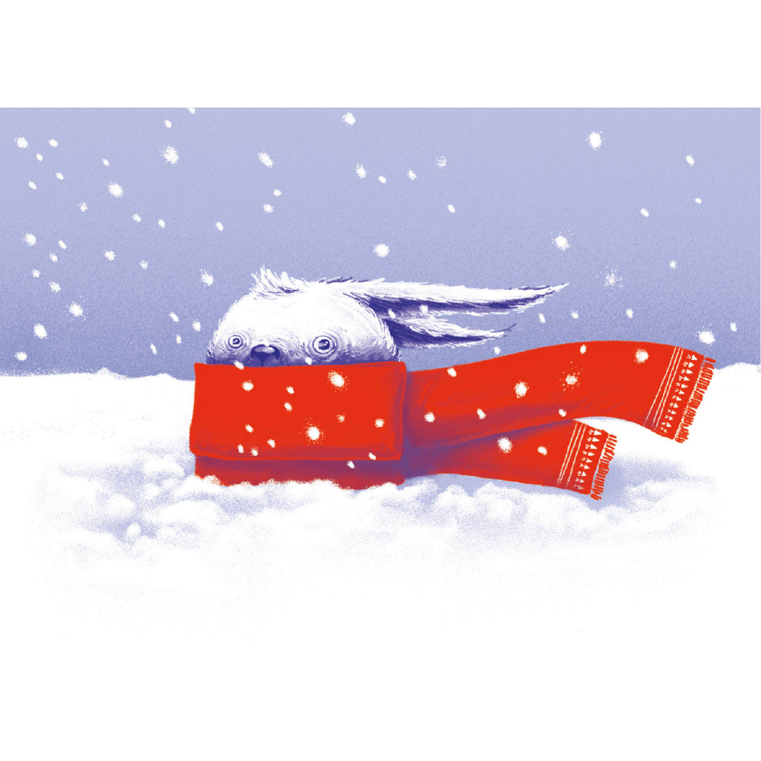 Schneehase, Postkarte