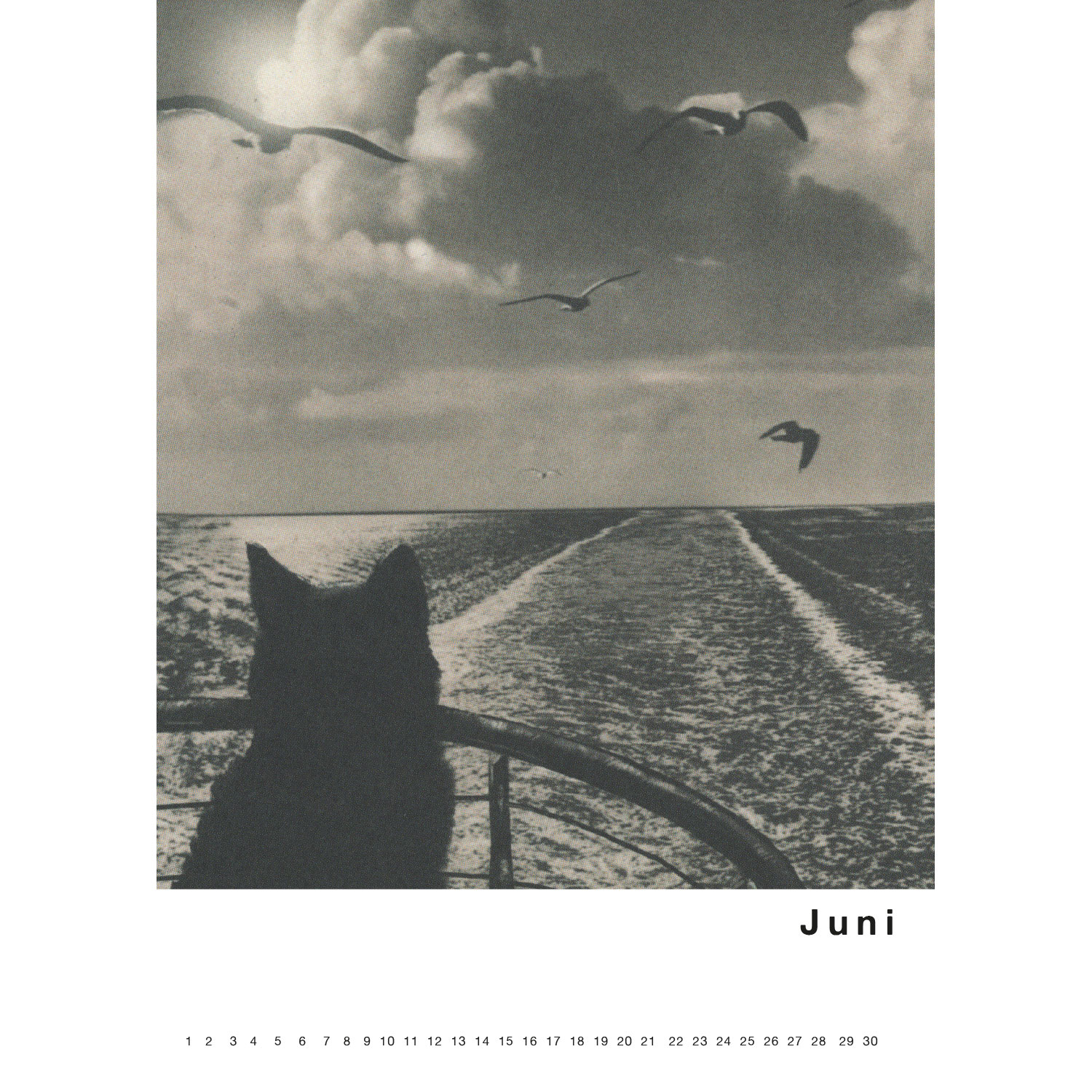 Streuner 1, Immerwährender Kalender A4