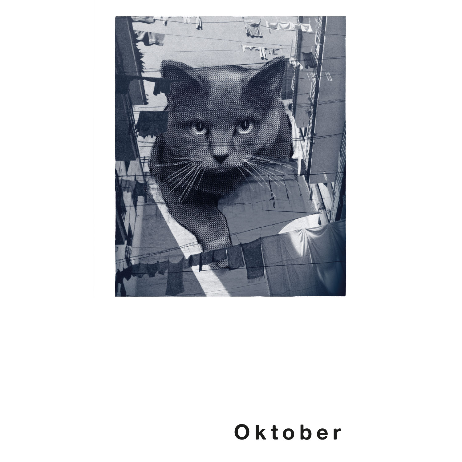 Streuner 4, Postkartenkalender
