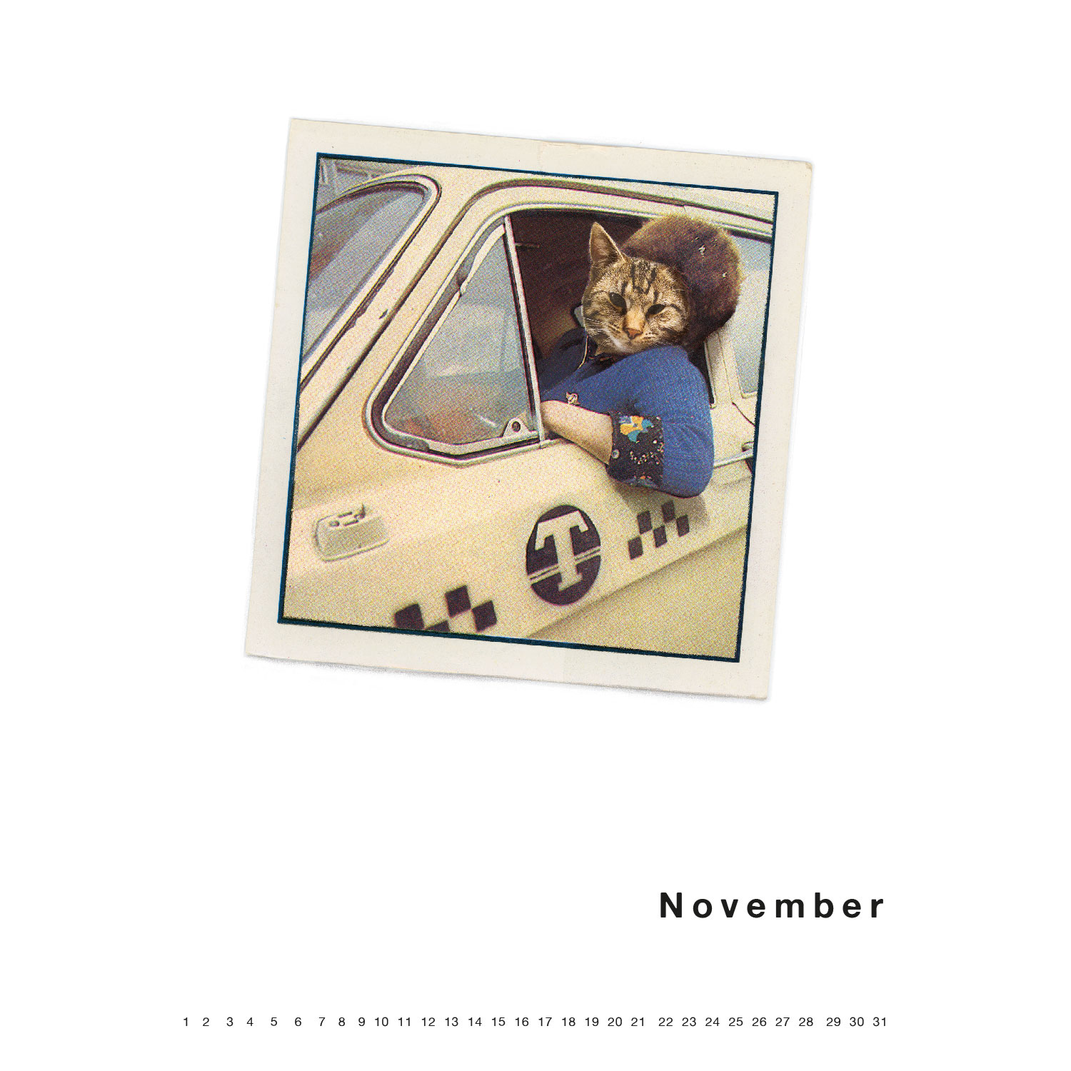 Streuner 3, immerwährender Kalender A4