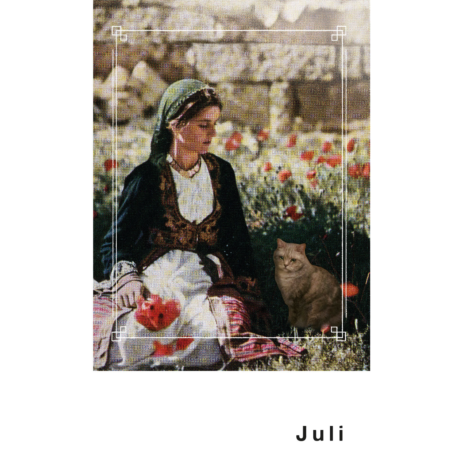 Streuner 7, Postkartenkalender