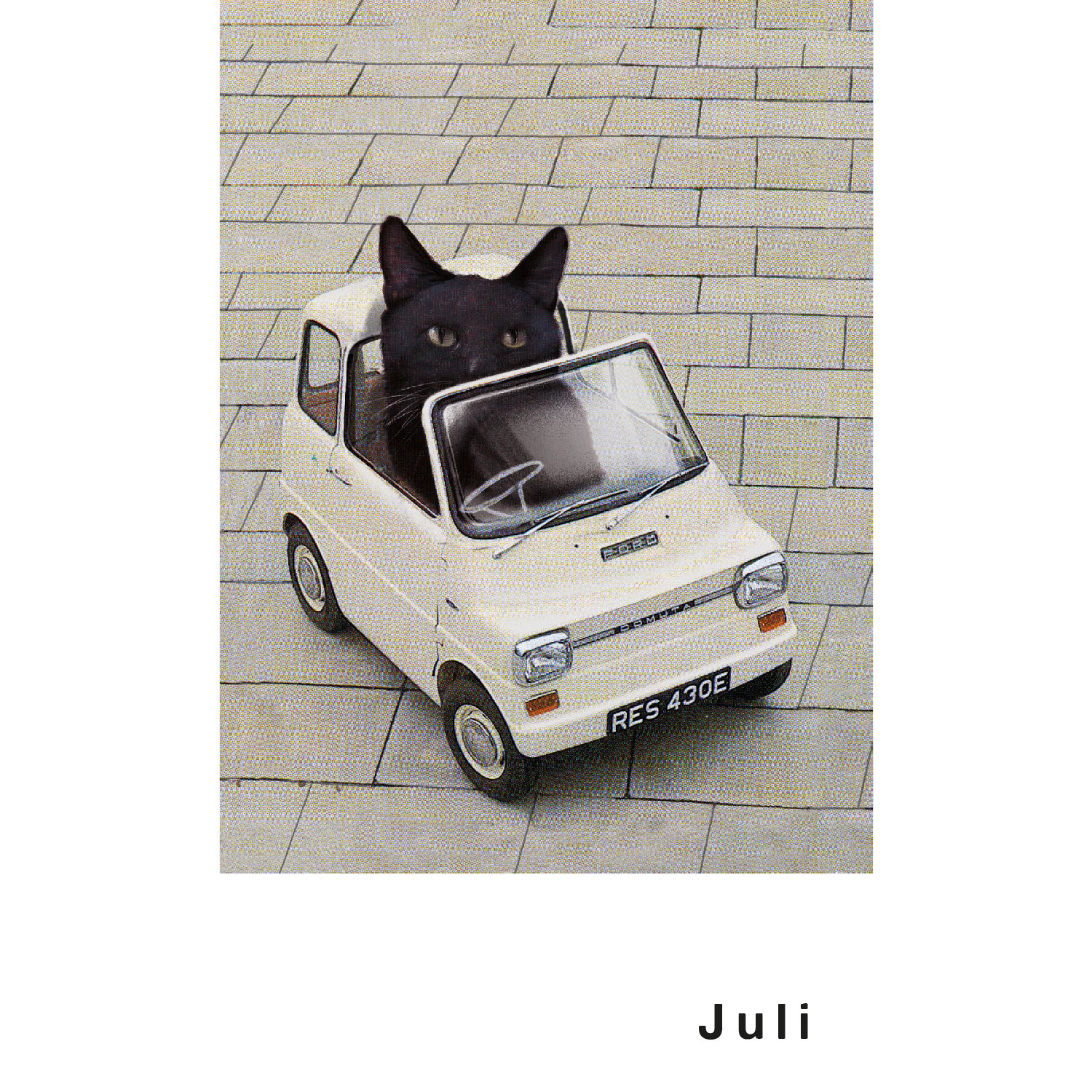 Streuner 4, Postkartenkalender