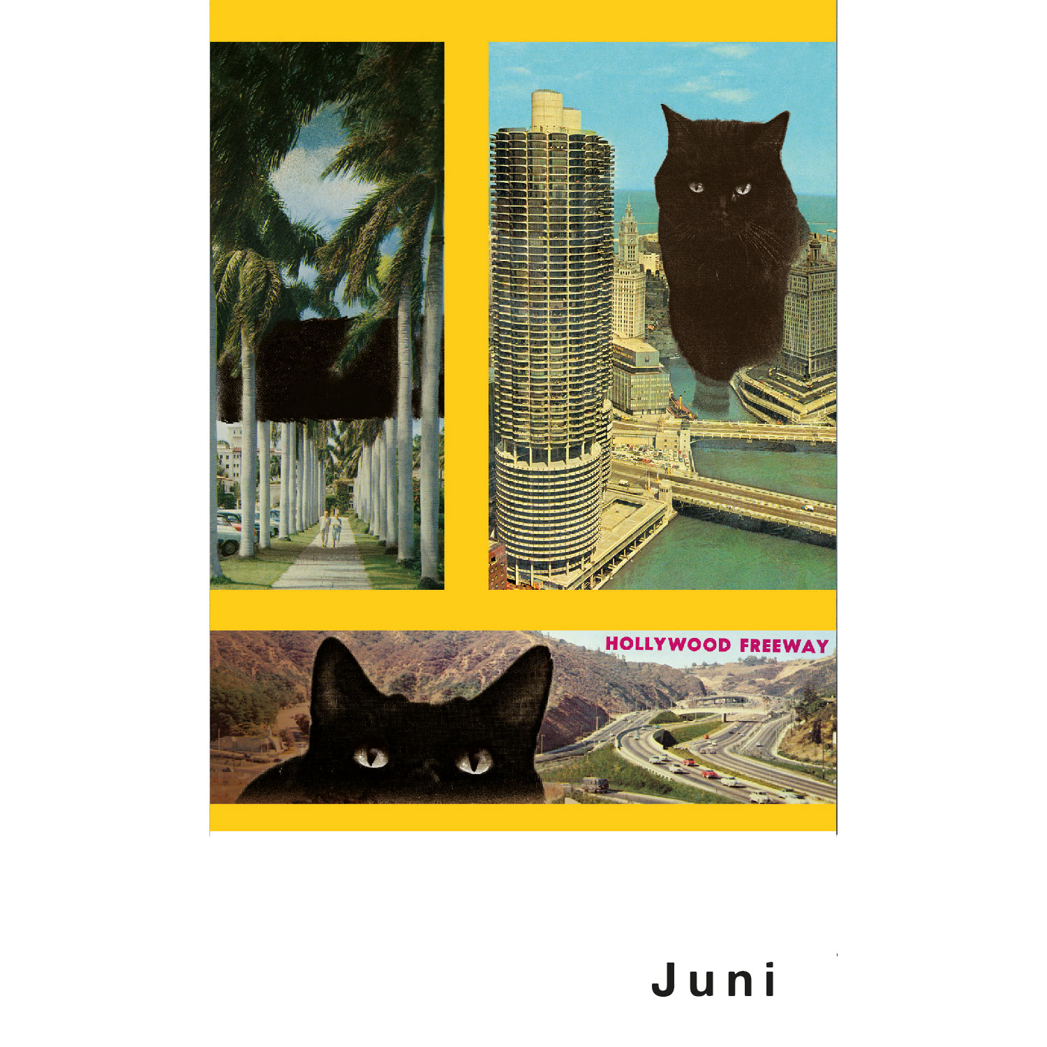 Streuner 6, Postkartenkalender