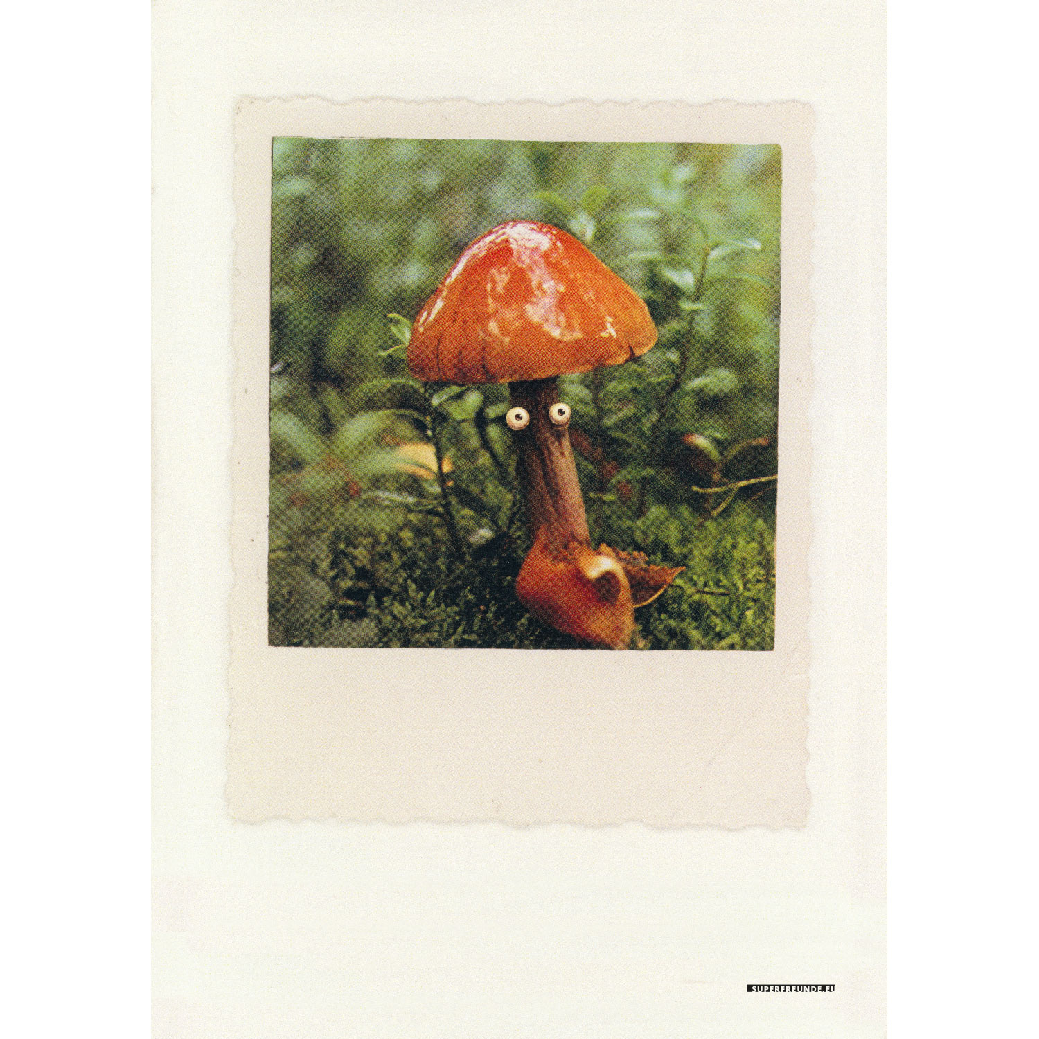 Waldpilz, Plakat A3