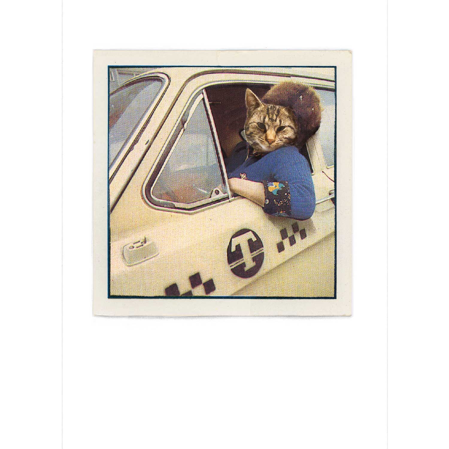 Streuner - Taxidriver, Postkarte