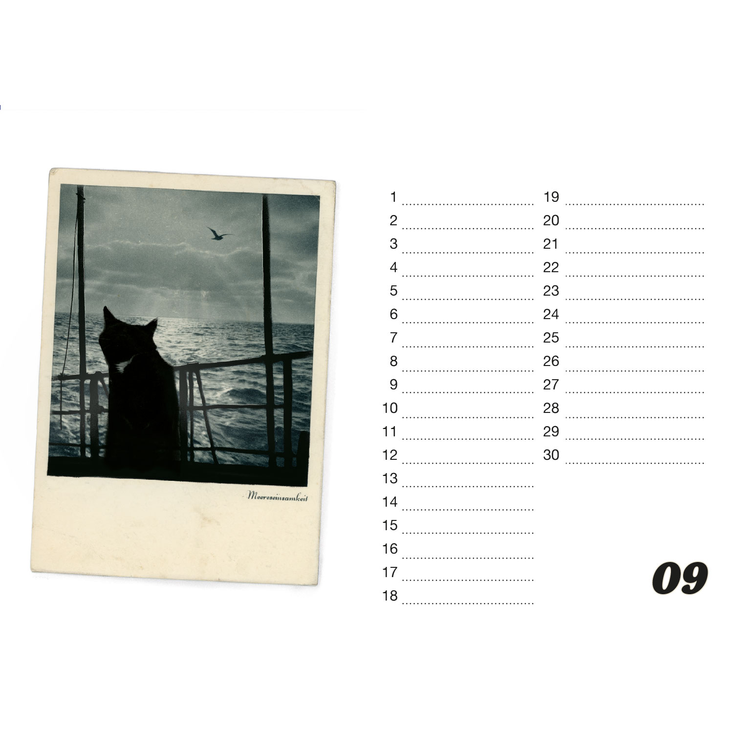 Streuner, Tischkalender A5 Querformat