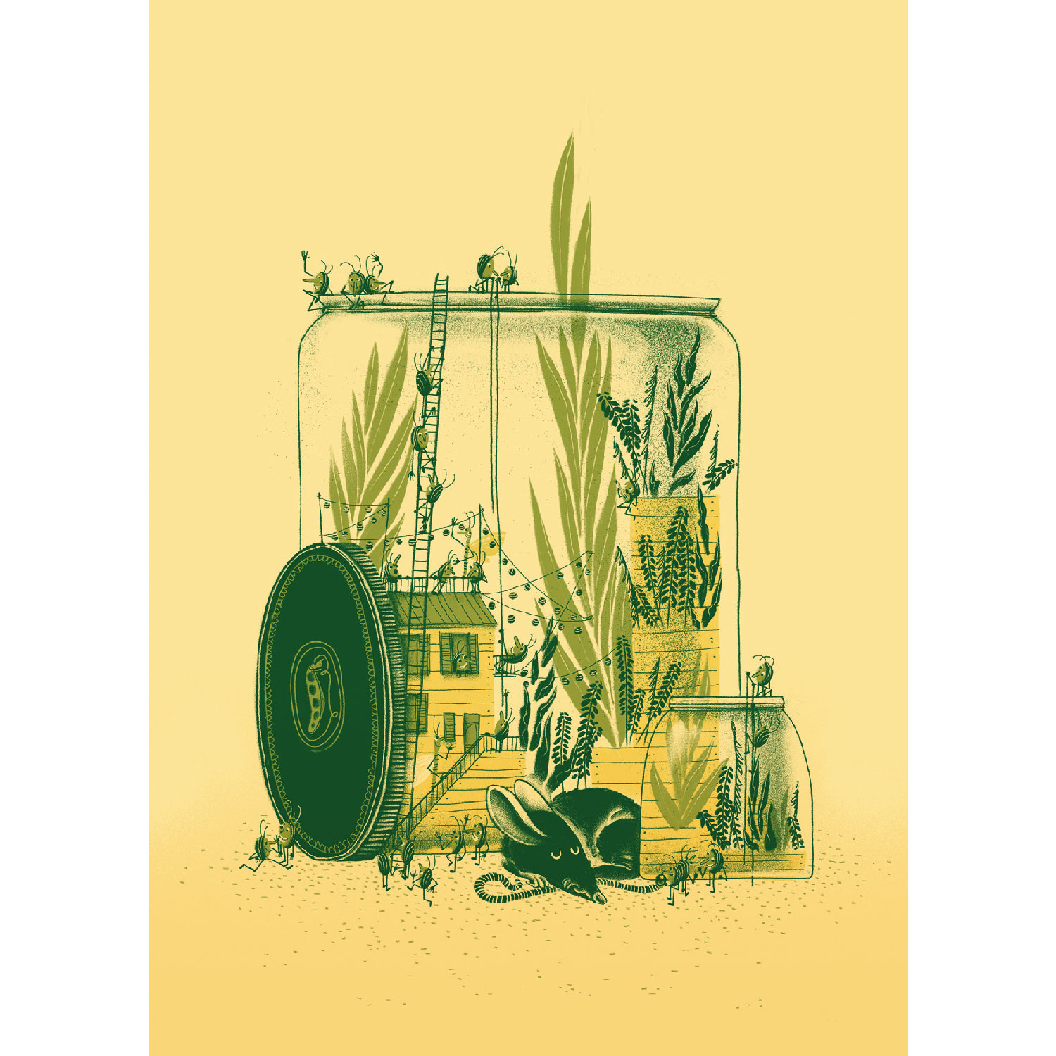 Käfer im Glas, Postkarte